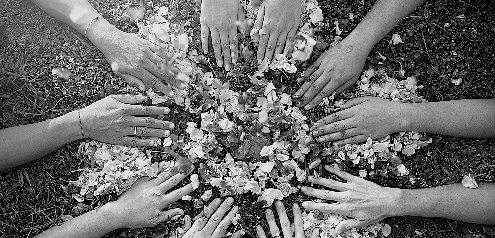 circle of hands